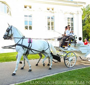 Luxuslashes, Jubiläum, Palais Schönburg , 